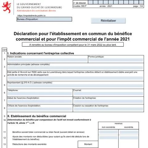 Aperçu du document Comprendre le Formulaire 300 F pour les Entreprises Collectives — Impôts & fiscalité (CERFA n°300 F)