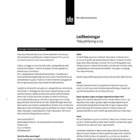 Documentvoorvertoning: Belang van de inkomensverklaring 2025 IJslands voor — Belastingen (CERFA n°ib0591t51plijs)