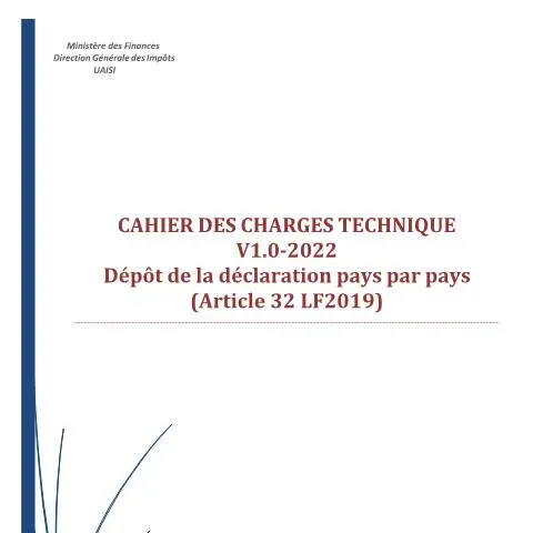 Aperçu du document Comprendre la déclaration pays par pays en Tunisie — Démarches administratives