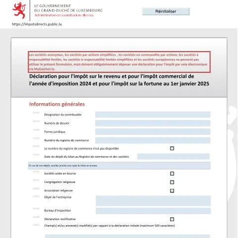 Aperçu du document Comprendre la déclaration fiscale 500 F au Luxembourg — Impôts & fiscalité (CERFA n°500 F)