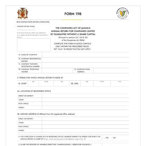 Document preview: Navigating the Essentials of Form 19B for Companies Limited by — Government & admin (CERFA n°FORM_19B_18092023)