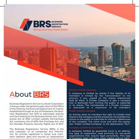 Document preview: Unlocking Business Success: The Companies Registry Form Explained — Government & admin (CERFA n°Companies-Registry)