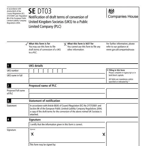 Document preview: Navigating the SE DT03 for UK Societas Conversions — Government & admin