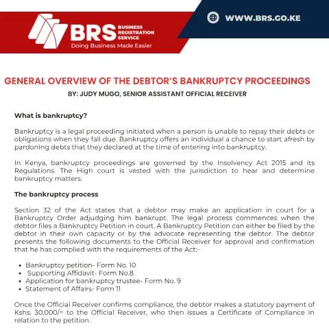 Document preview: Navigating Bankruptcy Proceedings in Kenya — Government & admin (CERFA n°Debtors-Bankruptcy-Proceedings)