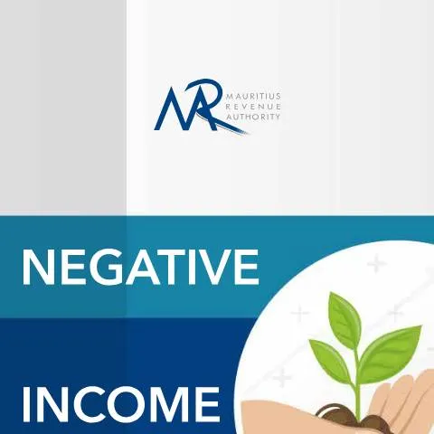 Document preview: Understanding the Negative Income Tax Leaflet — Taxes (CERFA n°NITLeafletEn)