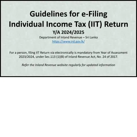 Document preview: Essential Steps for Filing Your Individual Income Tax Online — Taxes (CERFA n°Guide_to_IIT_2425)