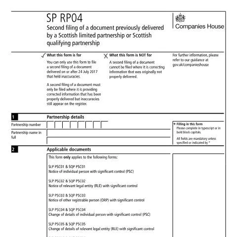 Document preview: Understanding the SP RP04 Filing Process — Government & admin