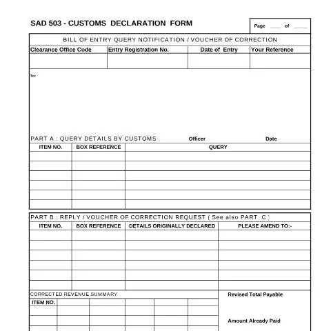 Document preview: Navigating Customs with the SAD 503 Form — Government & admin (CERFA n°SAD 503)