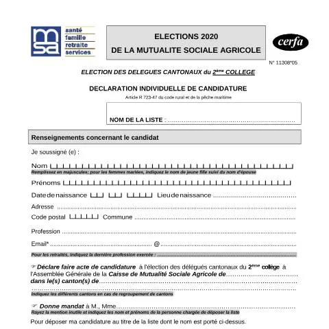 Aperçu du document Déclaration de candidature délégué cantonal 2ème collège MSA — Démarches administratives (CERFA n°11308*05)