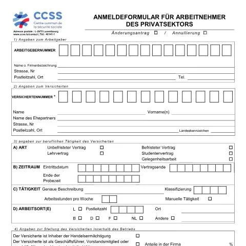 Aperçu du document L'Anmeldeformular : essentiel pour les travailleurs privés au — Emploi & travail (CERFA n°ccss-formulaire-entree-secteur-prive)