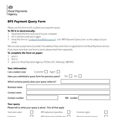 Document preview: Addressing BPS Payment Issues with the Query Form — Government & admin