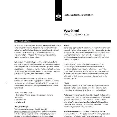 Documentvoorvertoning: Belang van de Inkomensverklaring 2021 voor Buitenlandse Werknemers — Belastingen (CERFA n°ib0591t11pltsj)