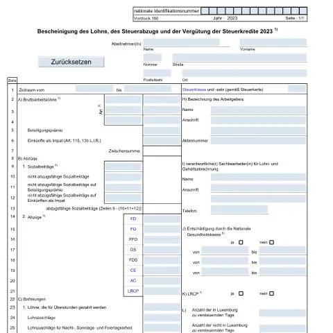 Aperçu du document Comprendre le Vordruck 160 pour les employeurs au Luxembourg — Impôts & fiscalité (CERFA n°160 D)