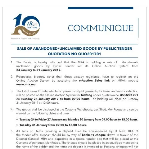 Document preview: Your Guide to Bidding on Abandoned Goods Sale — Government & admin (EAuctionQu201701)