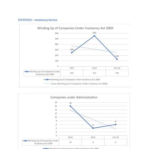 Document preview: Navigating the Statistics Insolvency Service Form for Stakeholders — Government & admin (Statistics_Insolvency-Service_07_11_24)