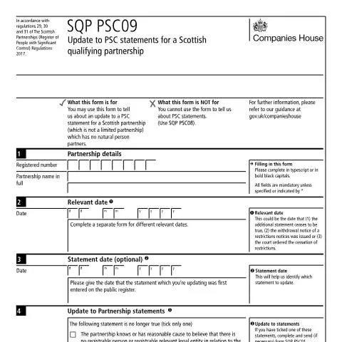 Document preview: Understanding the SQP PSC09 Form for Partnerships — Business