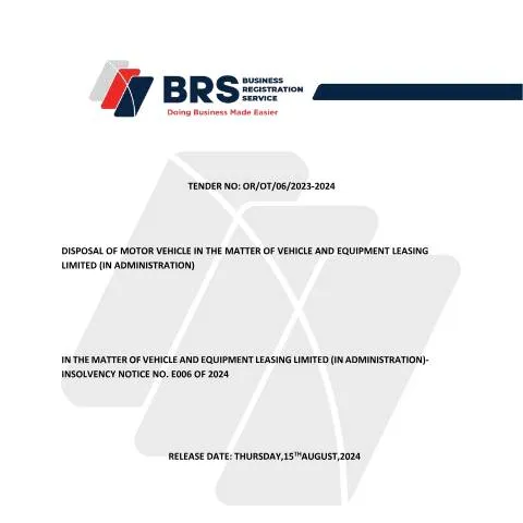 Document preview: Understanding the TENDER DOCUMENT VELL for Bidders in Kenya — Government & admin (CERFA n°TENDER-DOCUMENT-VELL)