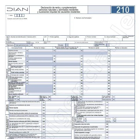 Vista previa del documento Declaración de renta y complementario 2024 en Colombia — Impuestos (CERFA n°F210-2024)