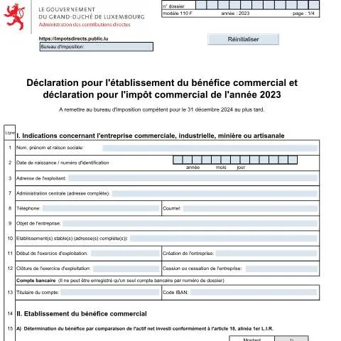 Aperçu du document Déclaration 110 F : Un atout pour votre entreprise au Luxembourg — Impôts & fiscalité (CERFA n°110 F)