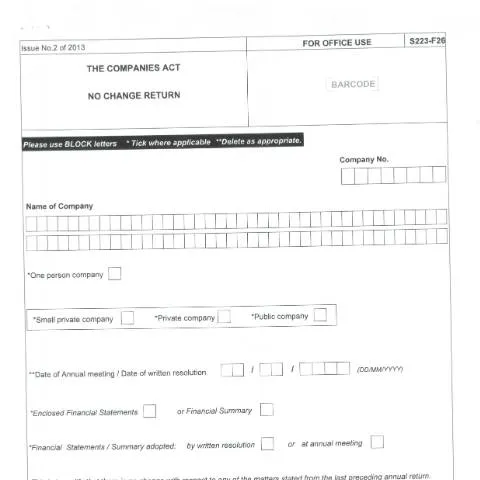 Document preview: The Importance of the F26 Document for Mauritian Businesses — Government & admin (F26-1)