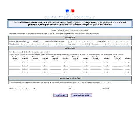 Aperçu du document Surveillance semestrielle des mesures d'aide budgétaire familiale — Démarches administratives (CERFA n°13931*01)