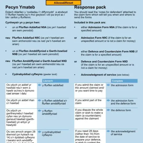 Document preview: Understanding the N9 Form: Extend Your Defence Deadline (English / Welsh) — Legal & justice (N9)
