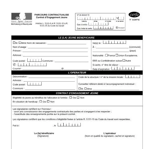 Aperçu du document Accompagnement intensif des jeunes vers l'emploi durable — Emploi & travail (CERFA n°16204*02)