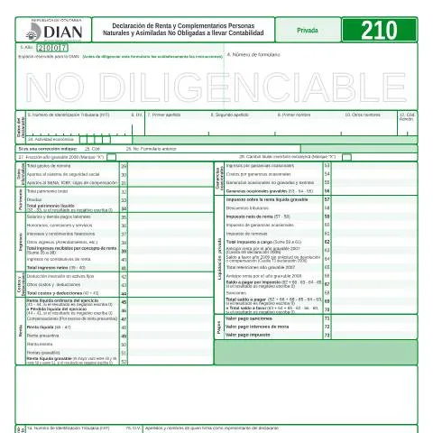 Vista previa del documento Importancia de la Declaración de Renta y Complementarios F210-2008 — Impuestos (CERFA n°F210-2008)