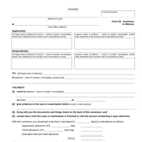 Document preview: Understanding Ontario Courts Form 23: Summons to Witness — Legal & justice (FLR 23)