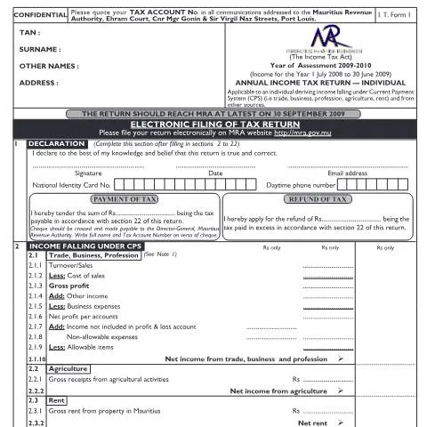 Document preview: Navigating the Individual Return 01 Form in Mauritius — Taxes (CERFA n°ITFORM010910)