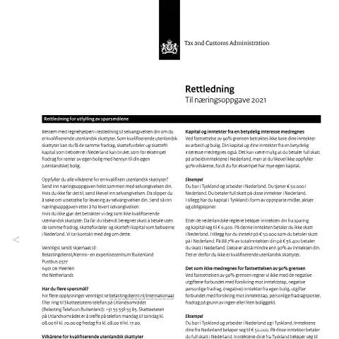 Documentvoorvertoning: Essentiële Informatie over de Inkomensverklaring 2021 Noors — Belastingen (CERFA n°ib0591t11plnor)
