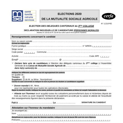 Aperçu du document Comment déposer sa candidature pour représenter les personnes morales — Démarches administratives (CERFA n°11310*05)