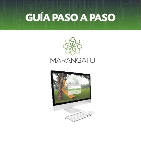 Vista previa del documento Guía paso a paso para presentar Estados Financieros en Paraguay desde — Impuestos
