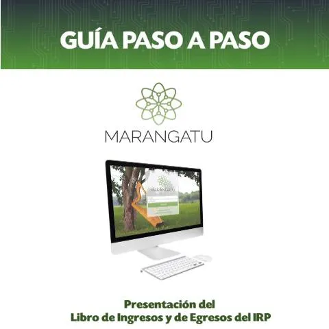 Vista previa del documento Presentación del Libro de Ingresos y Egresos del IRP en Paraguay — Impuestos