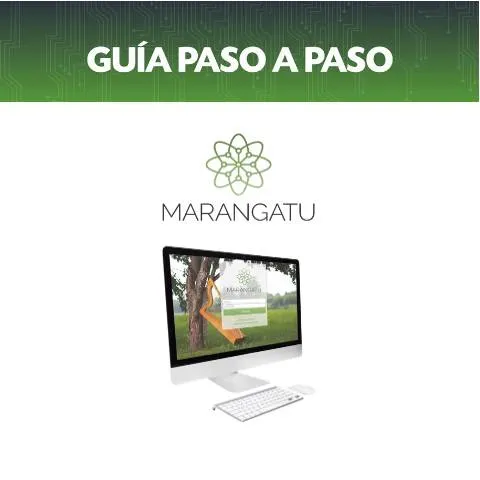 Vista previa del documento Cómo consultar el RUC en Paraguay paso a paso — Impuestos