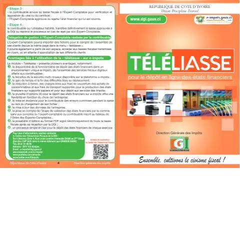 Aperçu du document La Téléliasse : Un Dispositif Innovant pour les Contribuables — Démarches administratives