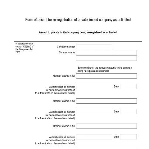 Document preview: Navigating the Transition to Unlimited Company Status — Business