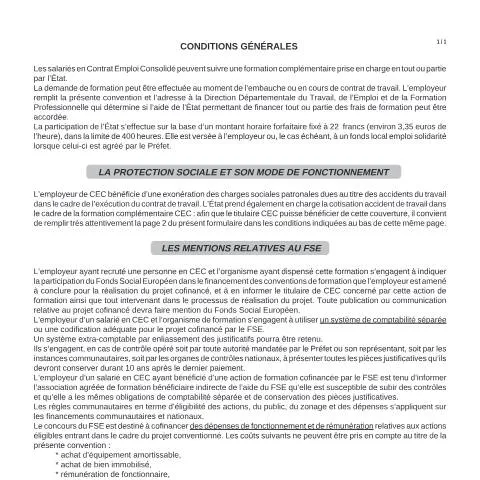 Aperçu du document Financement cotisation accident travail : contrat emploi consolidé — Démarches administratives (CERFA n°11619*01)