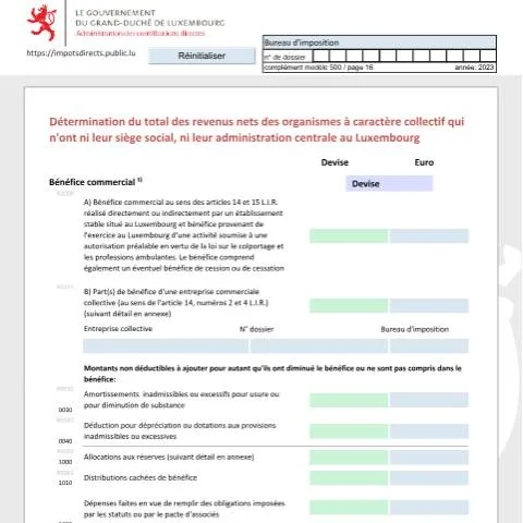 Aperçu du document Comprendre le formulaire nrr-f pour les organismes à caractère — Impôts & fiscalité (CERFA n°nrr-f)