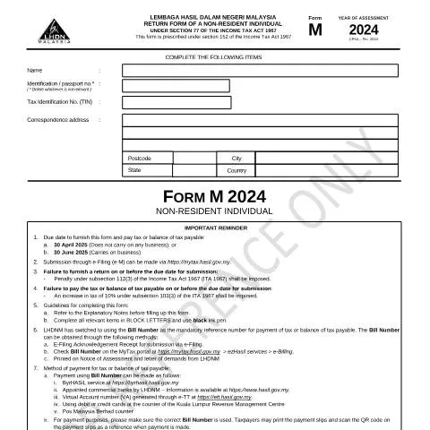 Document preview: Panduan Lengkap Borang M 2024 bagi Individu Bukan Pendiami — Cukai & percukaian