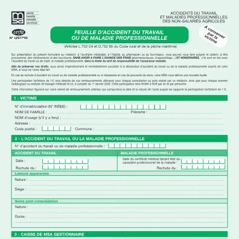 Aperçu du document Déclaration d'accident du travail pour exploitants agricoles — Santé (CERFA n°12577*02)