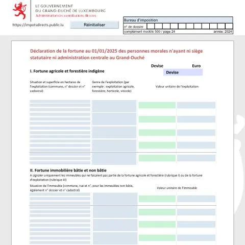 Aperçu du document Comprendre la déclaration de fortune des sociétés sans siège au — Démarches administratives (CERFA n°nrf-f)