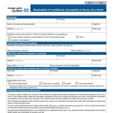 Document preview: Declaration of Property Remittance to a Minor: A Guide — Legal & justice (DGSP (2026-09))