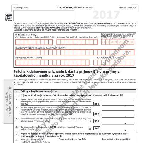 Dokumentvorschau: Wichtige Informationen zur E1kv-SK für 2017 — Steuern (CERFA n°E1kv-SK)