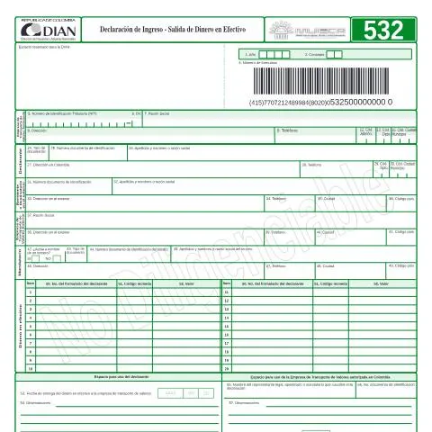 Vista previa del documento Importancia de la Declaración de Ingreso - Salida de Dinero en 2005 — Impuestos (CERFA n°F532-2005)
