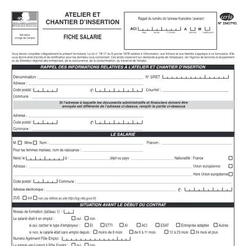 Aperçu du document Fiche salarié en chantier d'insertion : guide du formulaire 15417*01 — Emploi & travail (CERFA n°15417*01)