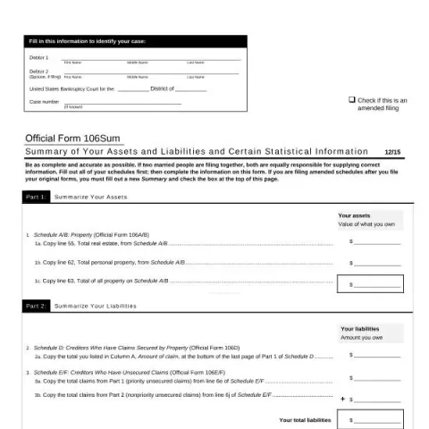 Document preview: Understanding Official Form 106Sum for Bankruptcy Filings — Legal & justice (106Sum)