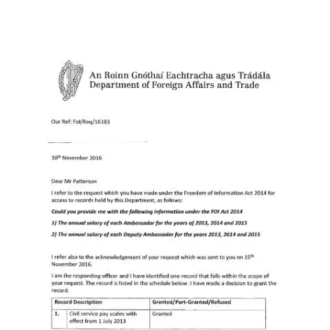Document preview: Navigating the FOI Request Process in Ireland — Government & admin (CERFA n°BD3B)