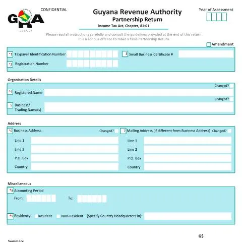 Document preview: Understanding the G0005 Partnership v2 Form from the Guyana Revenue — Library