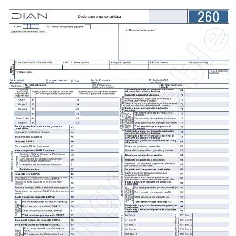 Vista previa del documento Guía de la Declaración Anual Consolidada 2024 en Colombia — Impuestos (CERFA n°F260-2024)